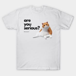 Cute cat Confused T-Shirt